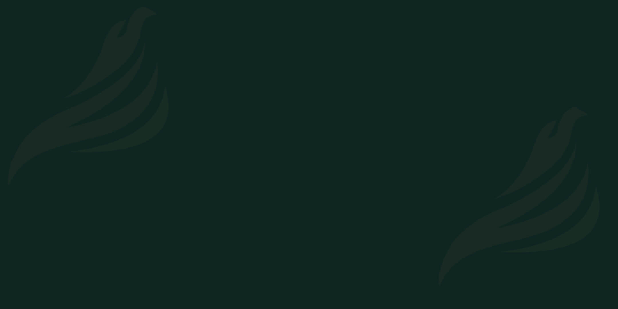 Tło z prześwitującym lekko logiem