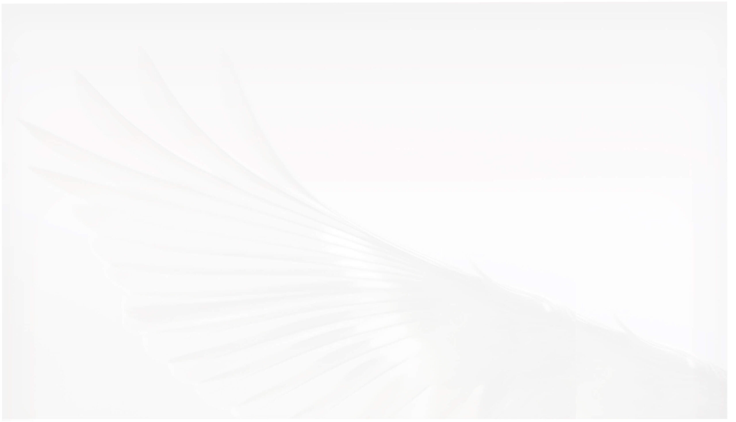 Tło cień skrzydła ptaka